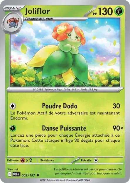 Joliflor — Flammes Obsidiennes