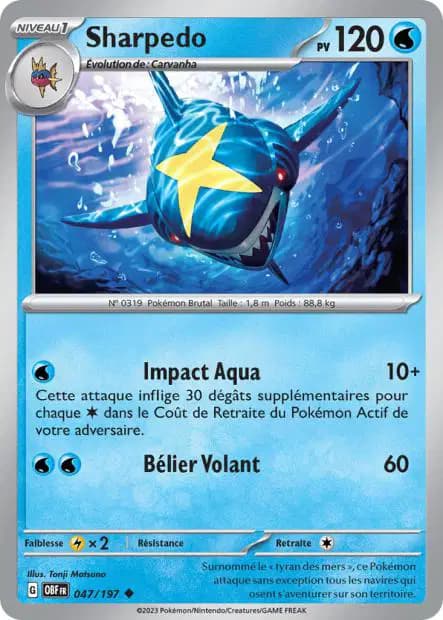 Sharpedo — Flammes Obsidiennes