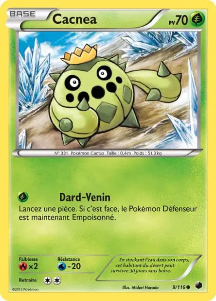Cacnea — Glaciation Plasma