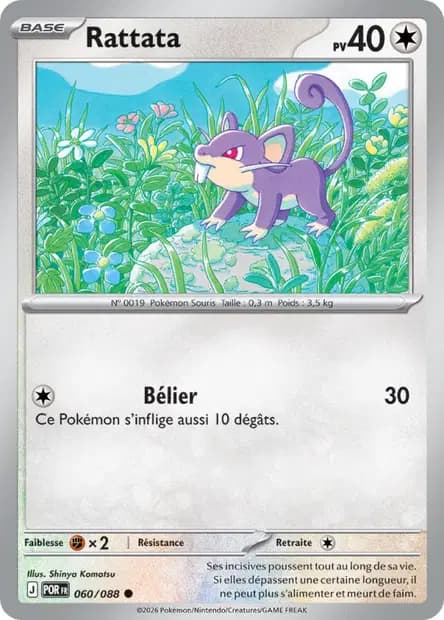 Rattata — Équilibre Parfait