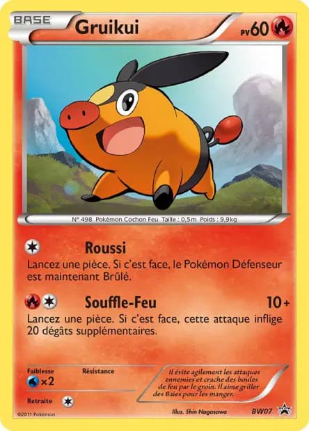 Gruikui — Promos Black Star Noir & Blanc