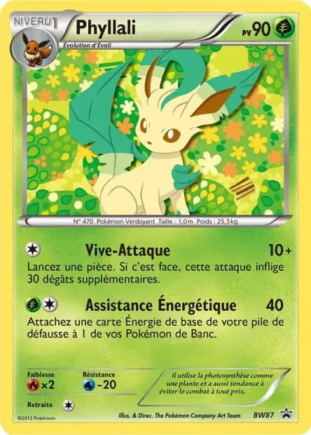 Phyllali — Promos Black Star Noir & Blanc