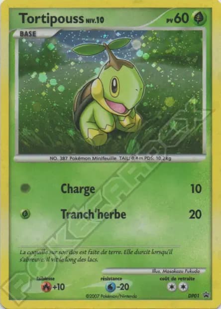 Tortipouss — Promos Black Star DP