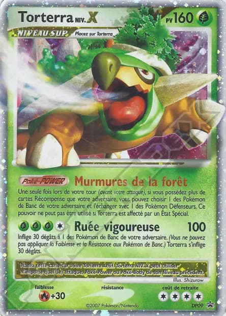 Torterra — Promos Black Star DP