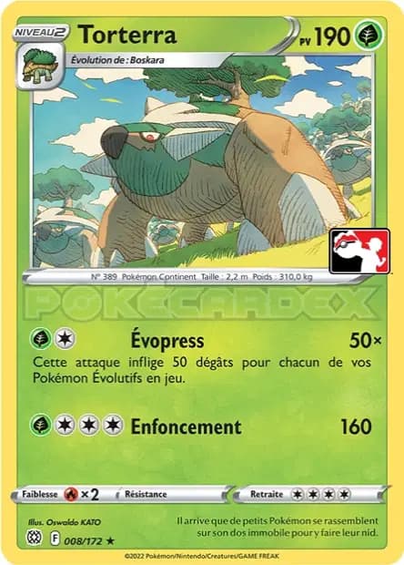 Torterra — Pack Récompense
