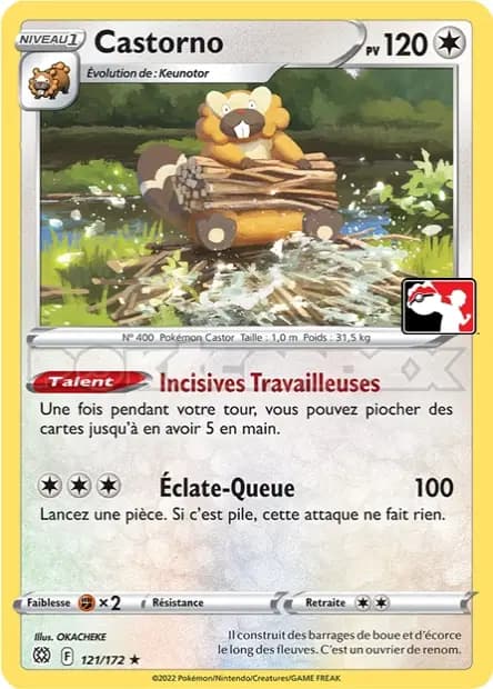 Castorno — Pack Récompense