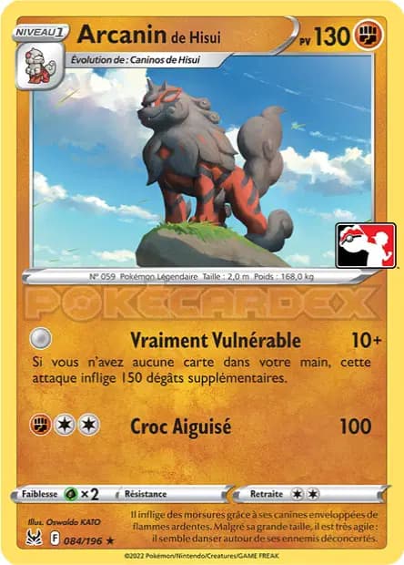 Arcanin — Pack Récompense