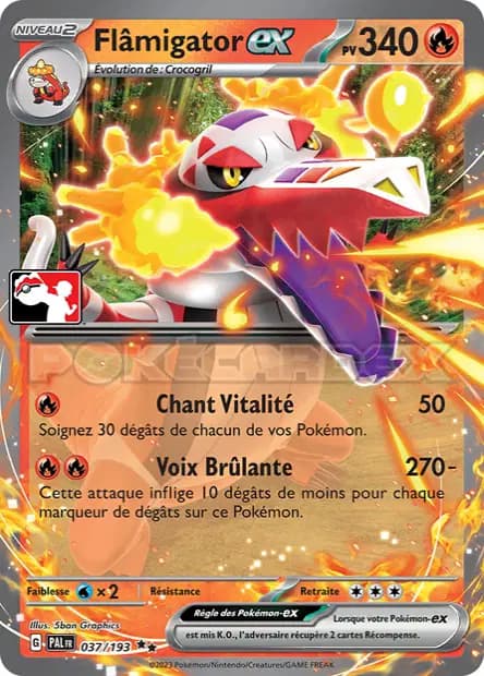 Flâmigator — Pack Récompense