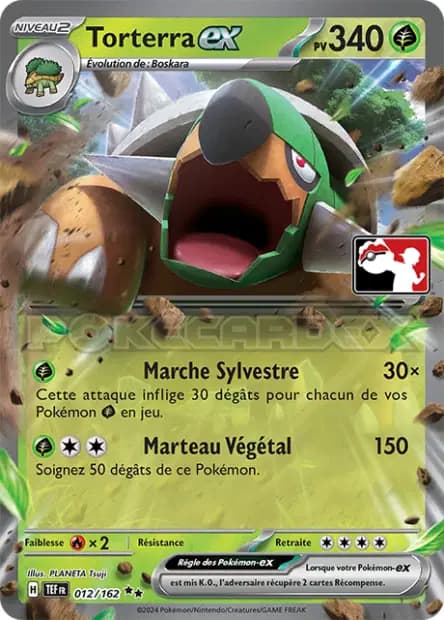 Torterra — Pack Récompense