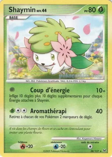 Shaymin — Platine