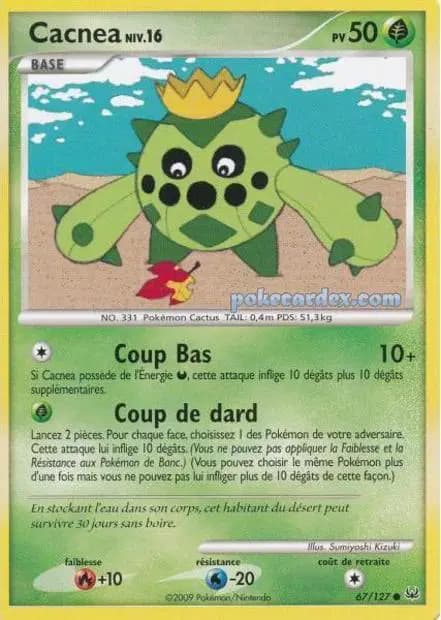 Cacnea — Platine