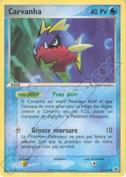 Carvanha — EX : Rubis & Saphir