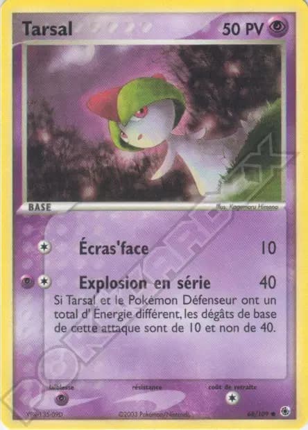 Tarsal — EX : Rubis & Saphir