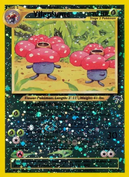 Rafflesia — Southern Islands