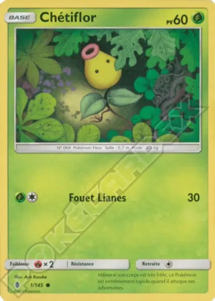 Chétiflor — Gardiens Ascendants