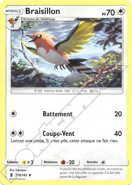 Braisillon — Gardiens Ascendants