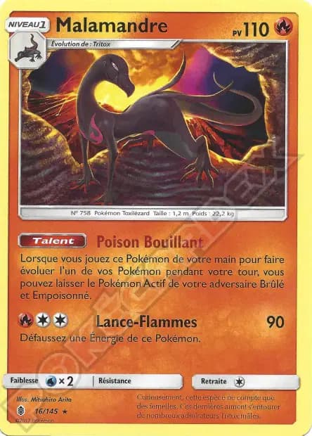 Malamandre — Gardiens Ascendants