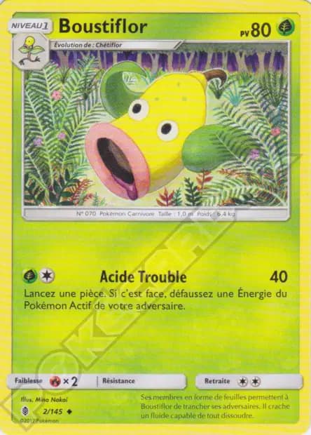 Boustiflor — Gardiens Ascendants