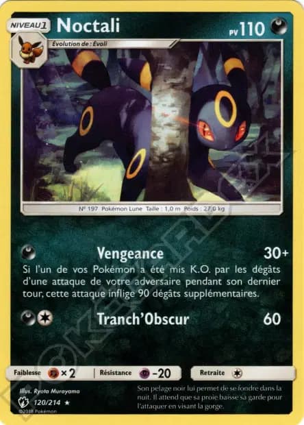 Noctali — Tonnerre Perdu