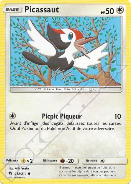 Picassaut — Tonnerre Perdu