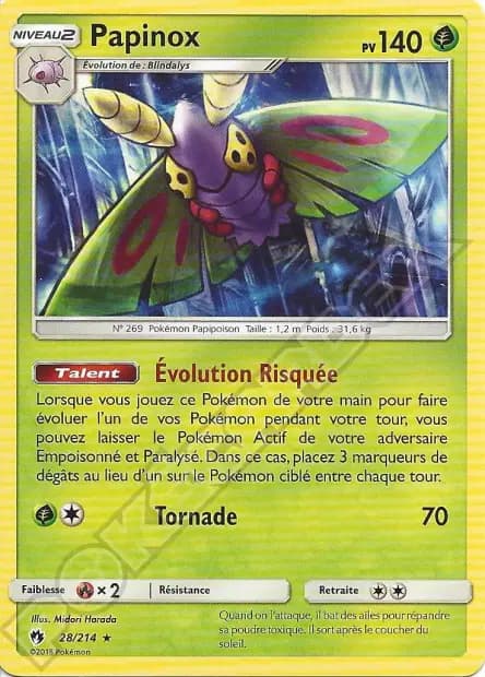 Papinox — Tonnerre Perdu