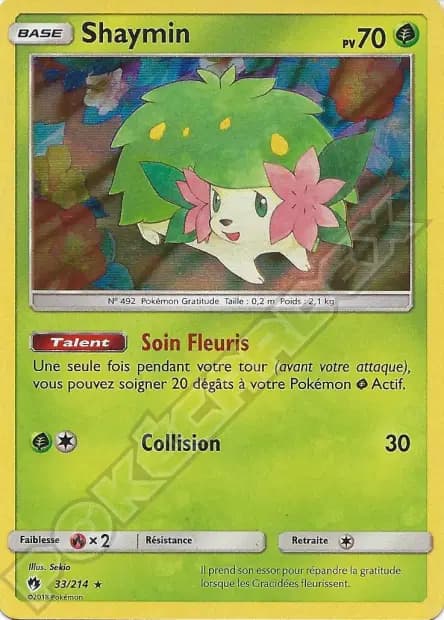 Shaymin — Tonnerre Perdu