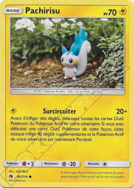 Pachirisu — Tonnerre Perdu