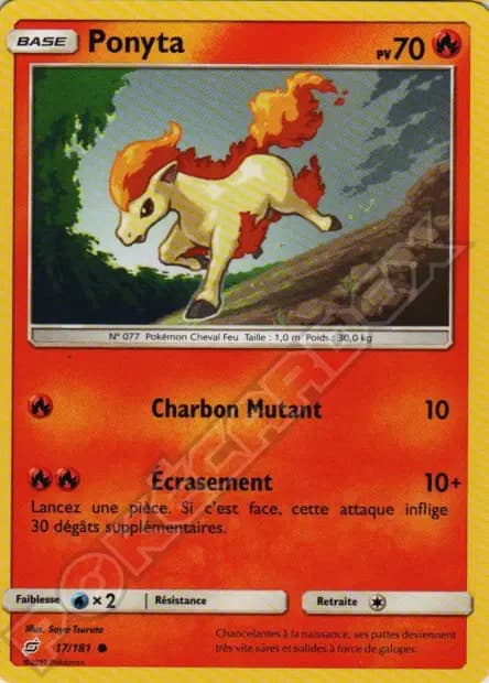 Ponyta — Duo de Choc