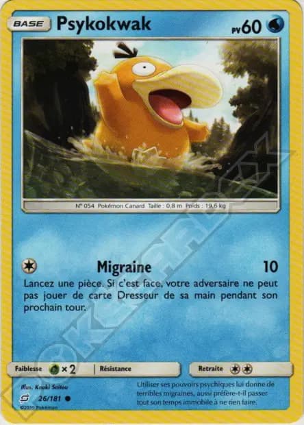 Psykokwak — Duo de Choc