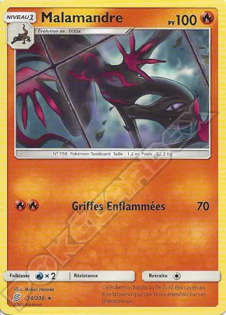 Malamandre — Harmonie des Esprits