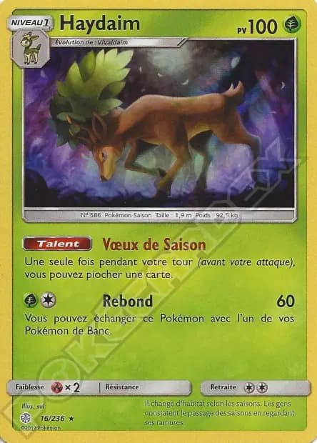 Haydaim — Éclipse Cosmique