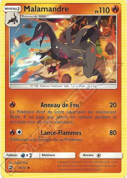 Malamandre — Majesté des Dragons