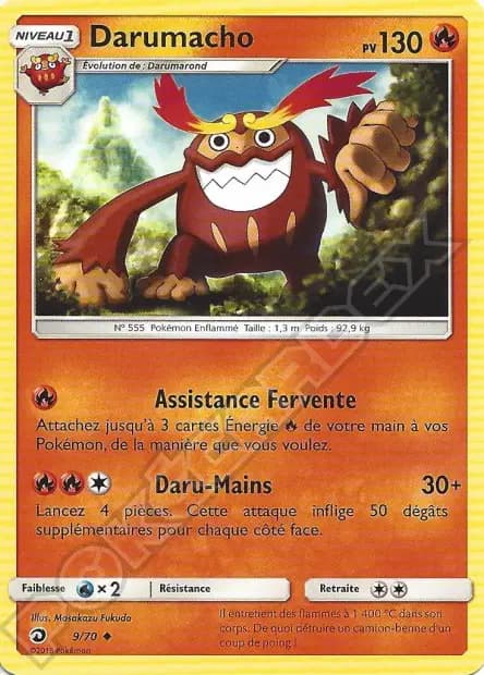 Darumacho — Majesté des Dragons