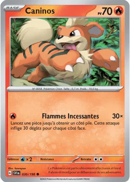 Caninos — Écarlate et Violet