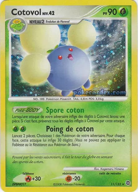 Cotovol — Diamant & Perle : Merveilles Secrètes