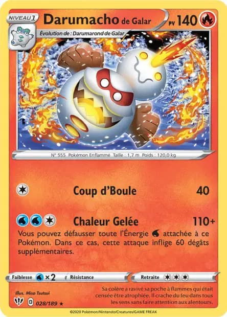 Darumacho — Ténèbres Embrasées
