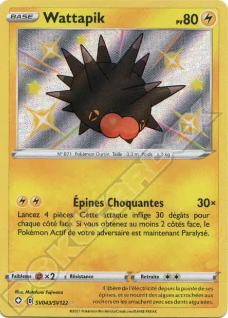 Wattapik — Destinées Radieuses