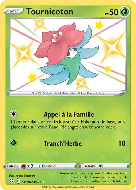 Tournicoton — Destinées Radieuses