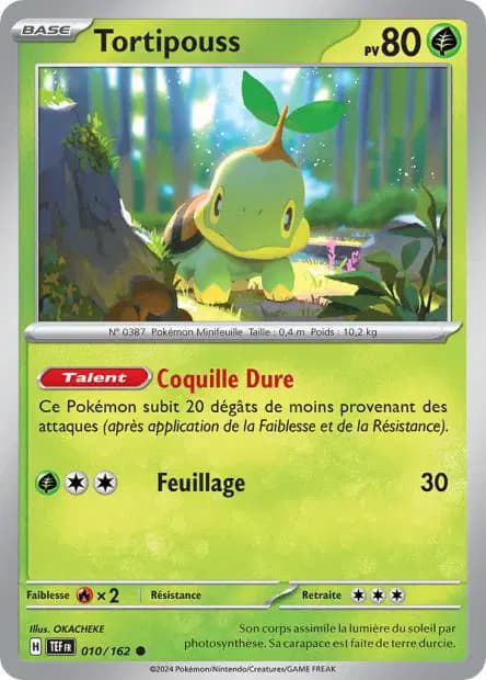 Tortipouss — Forces Temporelles