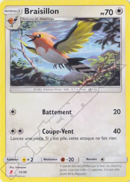 Braisillon — SL Kit du Dresseur (Lougaroc)