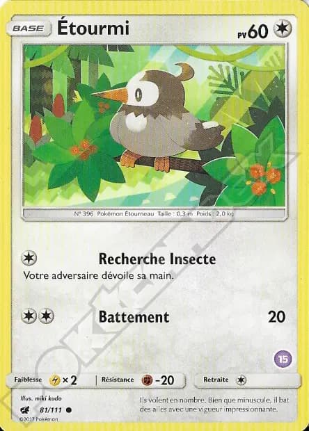 Étourmi — SL Kit du Dresseur (Sablaireau d'Alola)