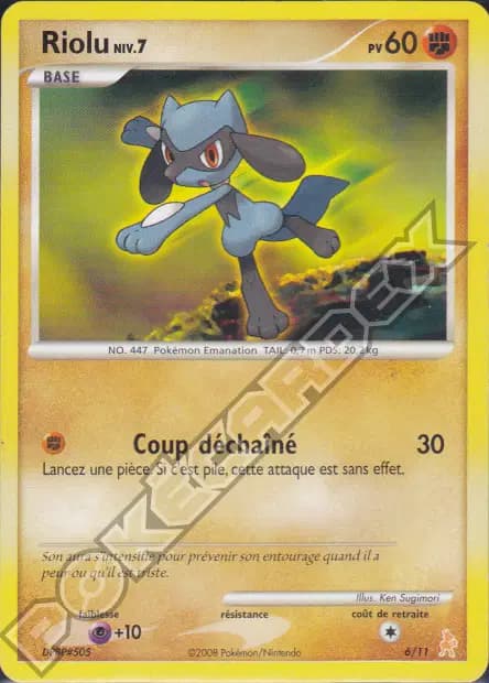 Riolu — D&P Kit Dresseur (Lucario)