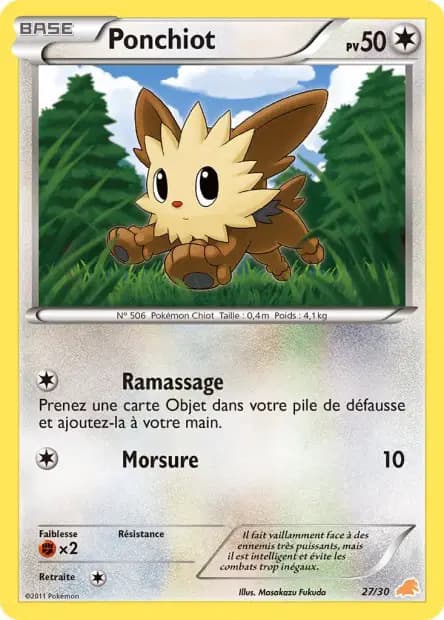 Ponchiot — N&B Kit du Dresseur (Minotaupe)