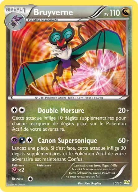 Bruyverne — XY Kit du Dresseur (Bruyverne)