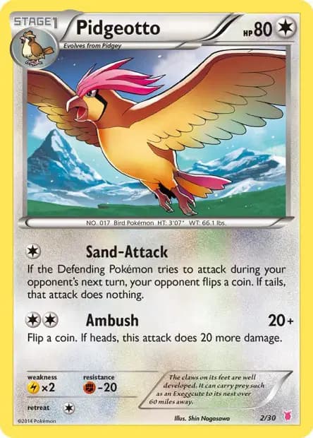 Roucoups — XY Trainer Kit (Grodoudou)