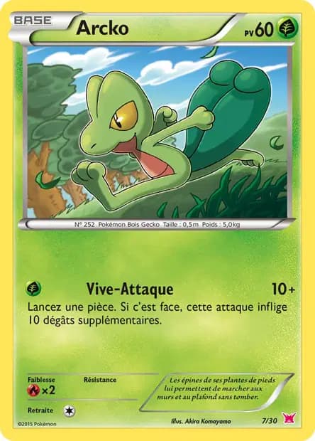 Arcko — XY Trainer Kit (Latias)