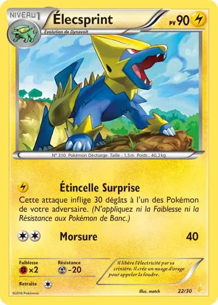 Élecsprint — XY Trainer Kit (Pikachu Catcheur)