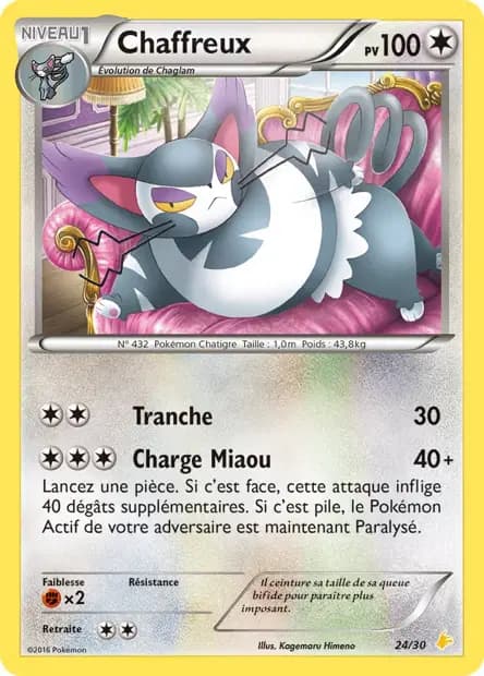 Chaffreux — XY Trainer Kit (Pikachu Catcheur)
