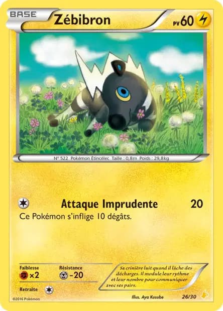 Zébibron — XY Trainer Kit (Pikachu Catcheur)