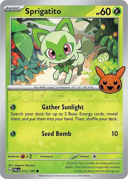 Poussacha — Trick or Trade 2024